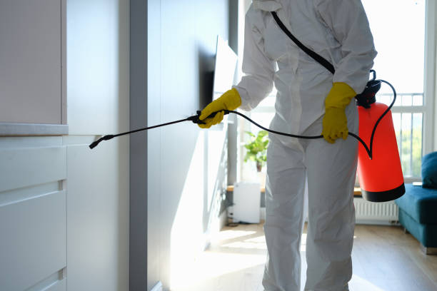 Professional Mold Removal in Rankin, PA