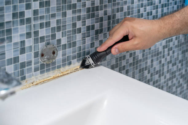 Best Mold Testing  in Rankin, PA
